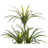 Beliani Dirbtinis augalas DRACAENA ANITA 147 cm žalias