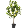 Beliani dirbtinis vazoninis augalas, 105 cm, citrinmedis (501181 Bel)