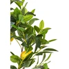 Beliani dirbtinis vazoninis augalas, 105 cm, citrinmedis (501181 Bel)
