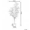 Beliani Dirbtinis augalas FICUS ELASTICA 160 cm žalias
