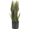 Beliani 40 cm SNAKE PLANT
