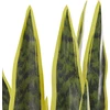 Beliani Dirbtinis vazoninis augalas 63 cm SNAKE PLANT