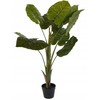 Beliani Dirbtinis vazoninis augalas ALOCASIA WENTII, aukštas, 110 cm