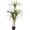 Beliani Dirbtinis motiejukas 147 cm DRACAENA ANITA
