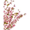 Beliani Dirbtinis augalas CHERRY TREE 152 cm rožinis