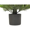 Beliani Dirbtinis augalas CEDAR TREE 153 cm žalias