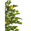 Beliani Dirbtinis augalas LEMON TREE 156 cm žalias