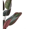 Beliani Dirbtinis augalas BANANA TREE 163 cm žalias