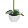 Beliani Dirbtinė gėlė ORCHID 42 cm balta