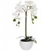 Beliani Dirbtinė gėlė ORCHID 42 cm balta