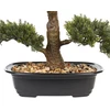 Beliani Dirbtinis augalas PINE 44 cm žalias