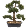 Beliani Dirbtinis augalas PINE 44 cm žalias