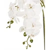 Beliani Dirbtinis augalas ORCHID 59 cm baltas