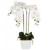 Beliani Dirbtinis augalas ORCHID 59 cm baltas
