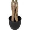 Beliani Dirbtinis augalas PACHIRA TREE 120 cm žalias