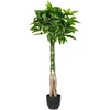 Beliani Dirbtinis augalas PACHIRA TREE 120 cm žalias