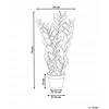 Beliani Dirbtinis augalas ZAMIIFOLIA 76 cm žalias