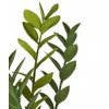 Beliani Dirbtinis augalas ZAMIIFOLIA 76 cm žalias