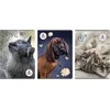 Beniamin Notebook A4/60K tinklelis The Sweet Pets (5 vnt.)
