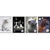 Beniamin Notebook A5/80K tinklelis The Sweet Pets (5 vnt.)