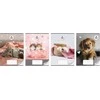 Beniamin Notebook A5/16K tinklelis The Sweet Pets (20 vnt.)