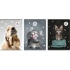 Beniamin Notebook A4/60K tinklelis The sweet pets (5 vnt.)