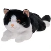 Beppe *****Kot juoda - balta 38/45cm 14319 25371