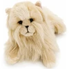 Beppe *****Kot perski karmelowy 35cm 14290 25081