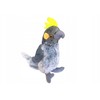 Beppe Papuga nimfa pilka 20 cm su garsu 13740