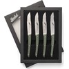 Berkel Berkel steak peilis set 4-pcs. Color žalias