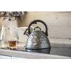 Berretti BERRETTI - tradicinis virdulys Rosa - 3 L - grafitas - indukcija - dujos - BR-7641