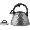 Berretti BERRETTI - tradicinis virdulys Rosa - 3 L - grafitas - indukcija - dujos - BR-7641