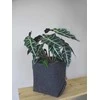 BERTONI EE Simple XL puodo užvalkalas - 25 cm