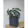 BERTONI EE Paprastas XXL puodo užvalkalas - 30 cm