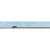 Pripučiamas ratas Bestway 36405, 460 mm