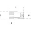 Beta Tools 12 kampo cokolis 3 / 8 "19mm ilgio (009100319)