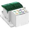 OBO Bettermann Bettermann elektroninis modulis RJ45 cat.5E neprižiūrimas ASM-C5 (6117337)