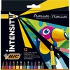 FLOMASTERIAI BIC INTENSITY FINE 12SPALVŲ