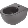 Pakabinama bidė Deante Peonia CDE_DBPW, Anthracite/Titanium
