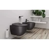 Pakabinama bidė Deante Peonia CDE_DBPW, Anthracite/Titanium