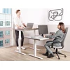 Beliani Biurko regulowane elektrycznie DESTINES Pilka/ balta 120 cm 72 cm