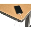 Beliani Elektriškai reguliuojamas stalas PENLY juodas / šviesiai rudas 120 cm 60 cm su USB jungtimi