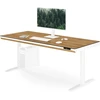 Stalius Jan Nowak Elektrinis sit-stand su stalčiumi ir belaidžiu Qi įkrovikliu, baltas/auksinis ąžuolas, 1600 mm: ELLIS (5907367514834)