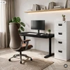 Stalo Jan Nowak Elektrinis sit-stand su stalčiumi ir belaidžiu Qi įkrovikliu, juodas, 1400 mm: ELLIS (5907367514711)