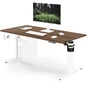 Stalo Jan Nowak Elektrinis aukštį reguliuojantis ergonominis baltas/riešutmedis, 1400x700 mm: Aria (5907367517422)