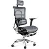 Ergonominė žaidimų/biuro kėdė Diablo V-Master, Juoda-pilka