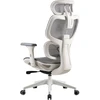 Onex Gaming Office Chair | Ventra Premium Mesh | Baltas