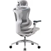Biuro kėdė Sihoo DORO C300 Pro Mesh, Balta
