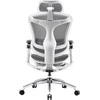 Biuro kėdė Sihoo DORO C300 Pro Mesh, Balta