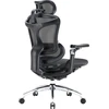Biuro kėdė Sihoo DORO C300 Pro Mesh, Juoda